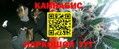 стаф Будённовск