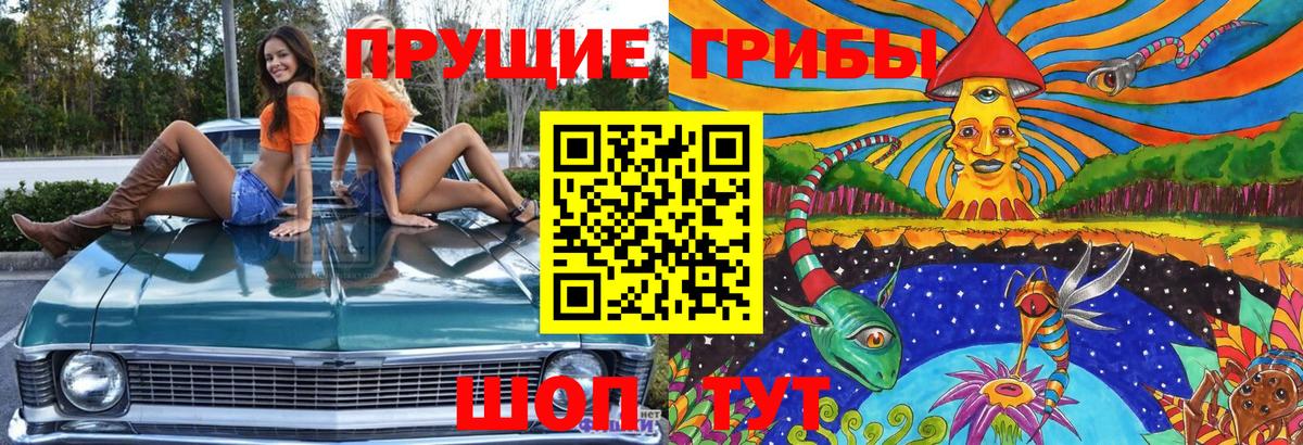 Псилоцибиновые грибы Psilocybe Лыткарино