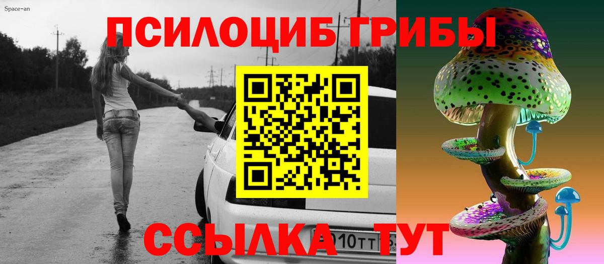 Лыткарино  Псилоцибиновые грибы Magic Shrooms  наркотики  Вход с VPN 